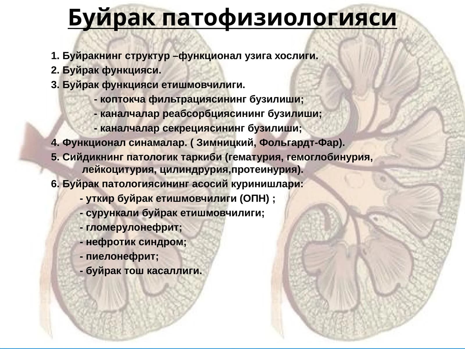 Буйрак патофизиологияси