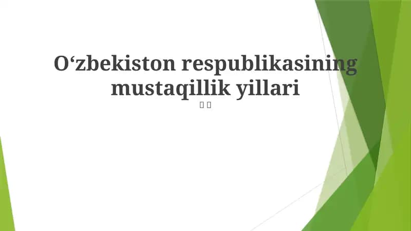 Mustaqillikning Dastlabki Yillari