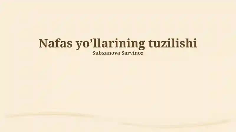 Nafas yo’llarining tuzilishi