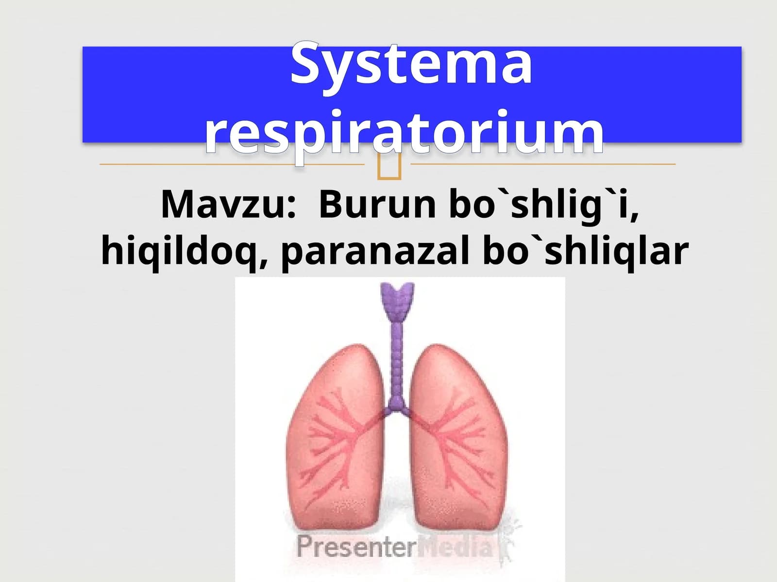Burunbo`shlig`i,hiqildoq,paranazalbo`shliqlar