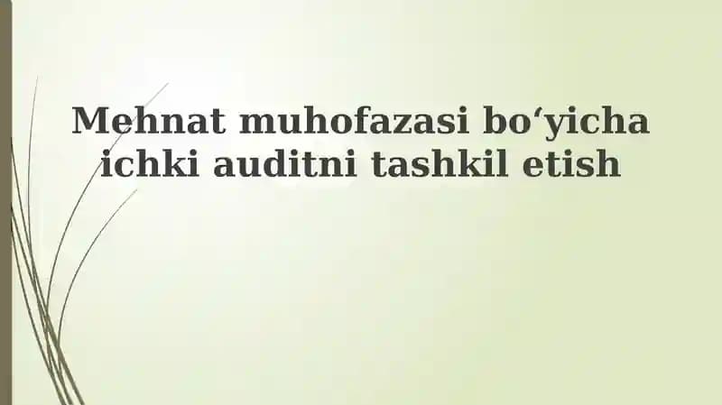 Mehnat muhofazasi boʻyicha ichki audit tashkiliyotish