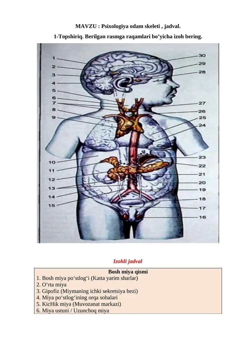 Psixologiya odam skeleti , jadval.