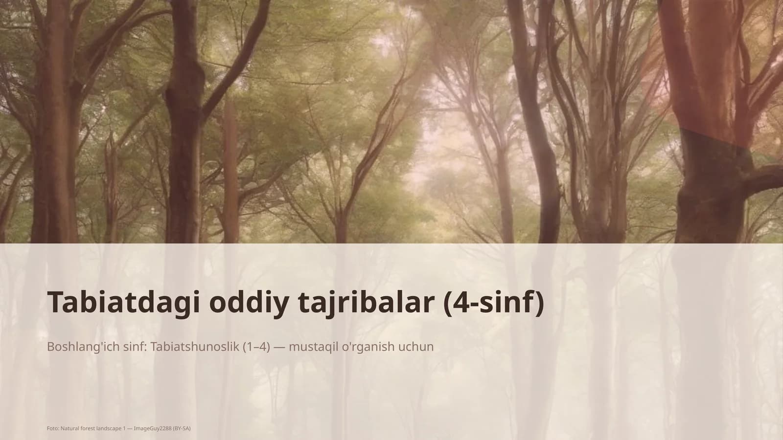 Tabiatdagi oddiy tajribalar (4-sinf)