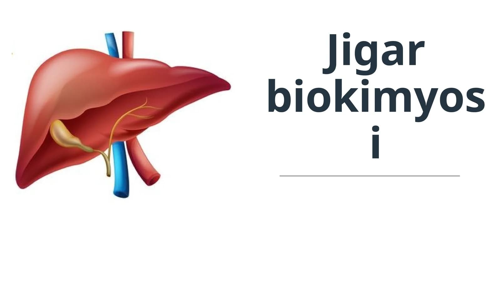 Jigar biokimyosi