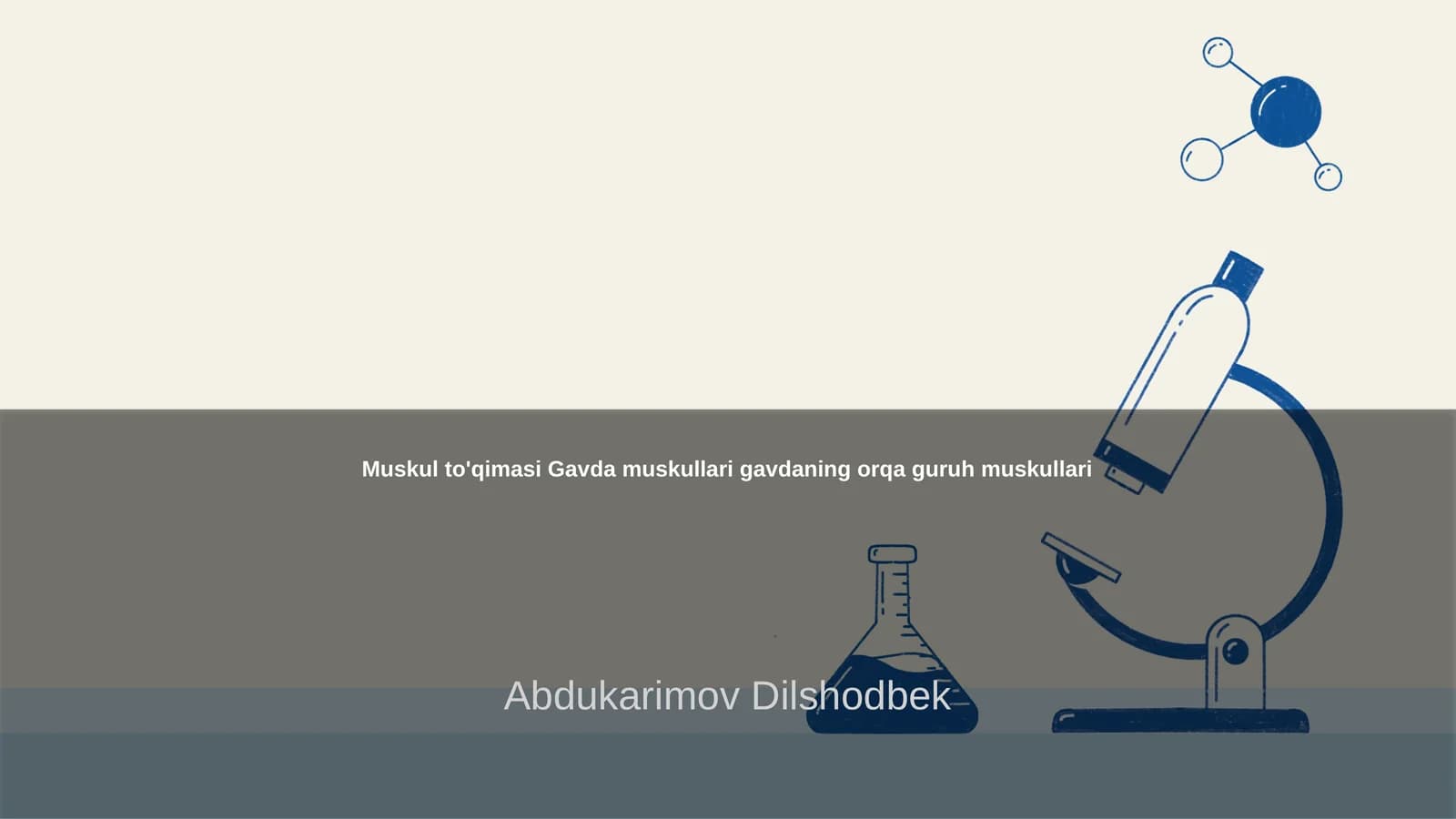 Muskul to'qimasi Gavda muskullari gavdaning orqa guruh muskullari
