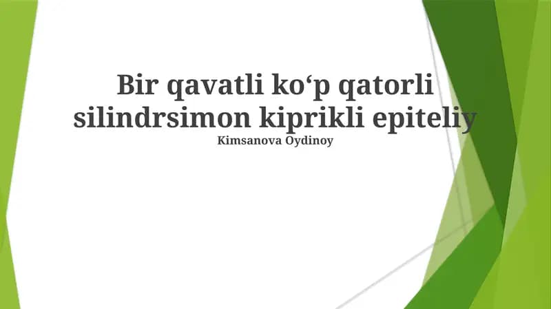 Bir qavatli ko‘p qatorli silindrsimon kiprikli epiteliy