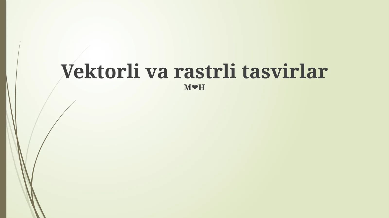Vektorli va Rastrli Tasvirlar