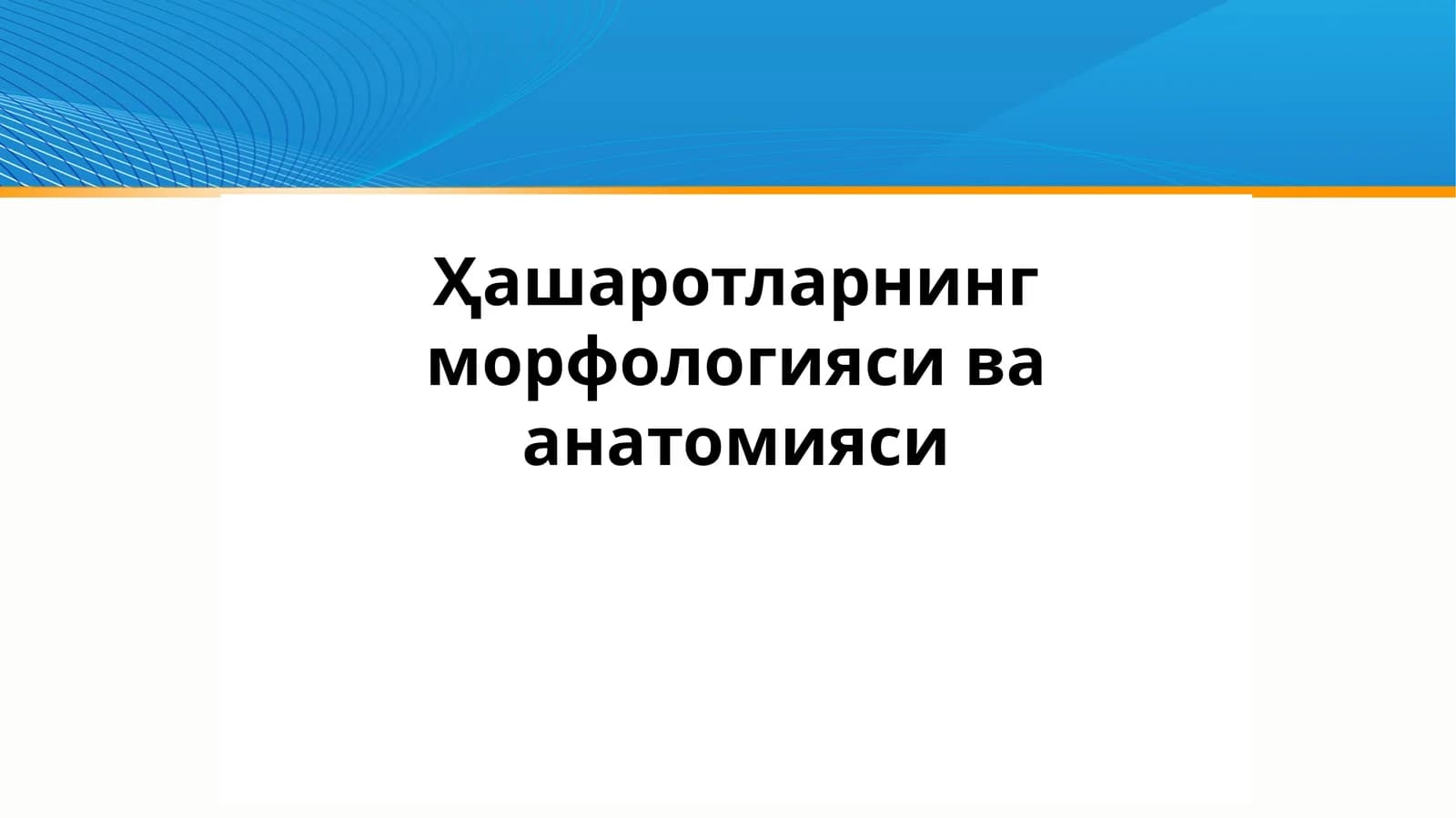 Ҳашаротларнинг морфологияси ва анатомияси