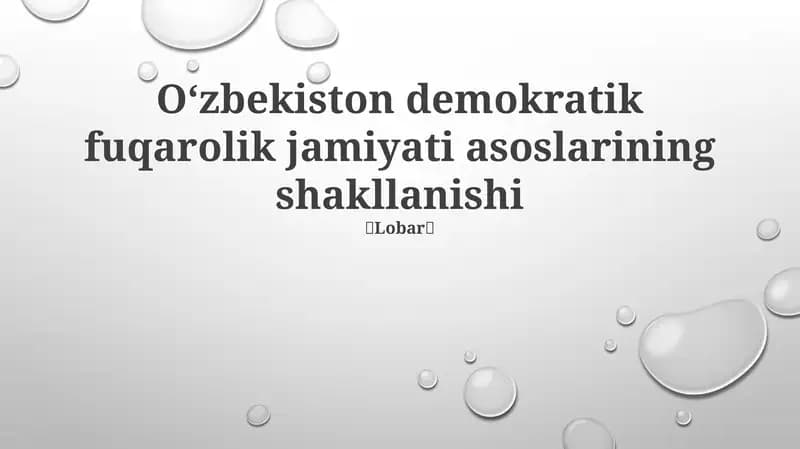 O'zbekiston demokratik fuqarolik jamiyati asoslarining shakllanishi