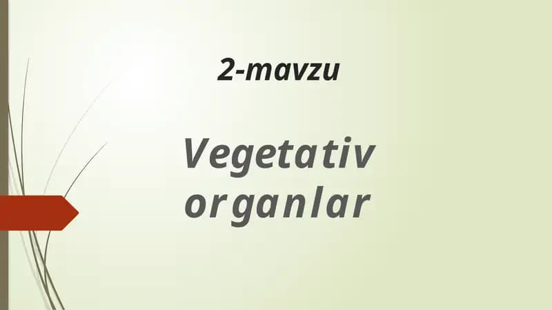 Vegetativ organlar