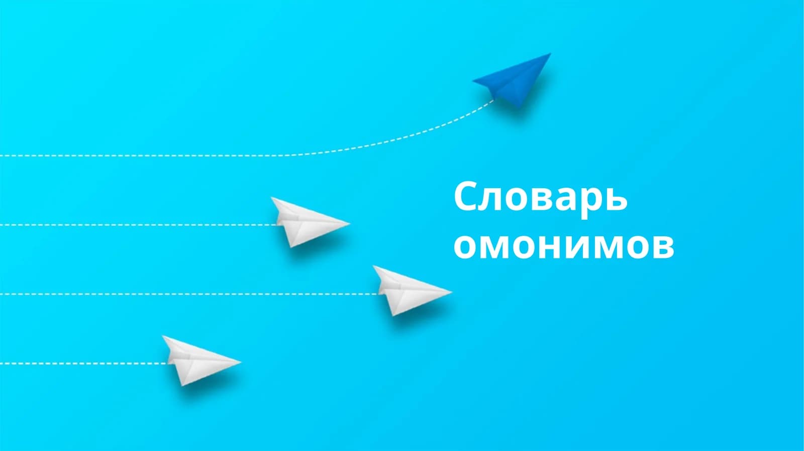 Словарь омонимов