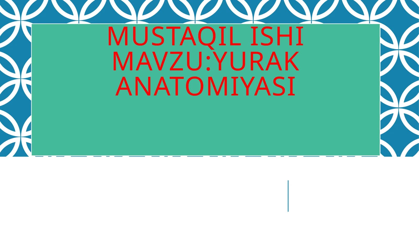 Yurak Anatomiyasi