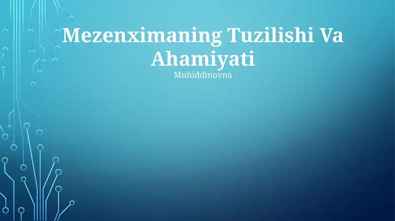 Mezenximaning Tuzilishi Va Ahamiyati
