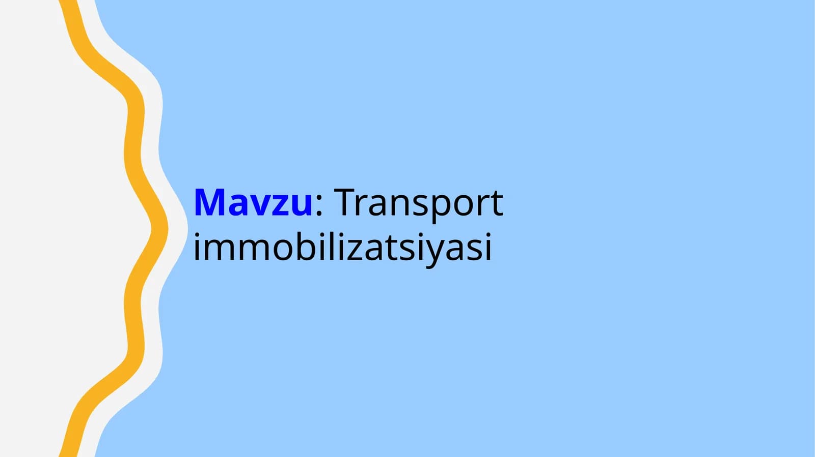 Transport immobilizatsiyasi