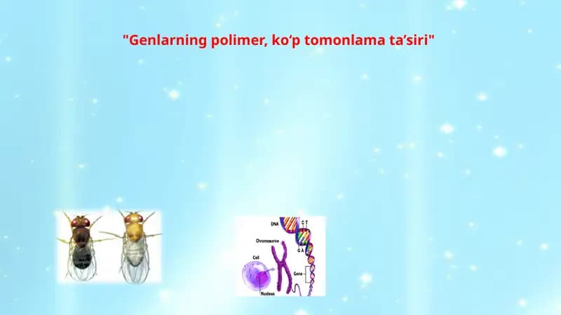 Genlarning polimeter ta'siri