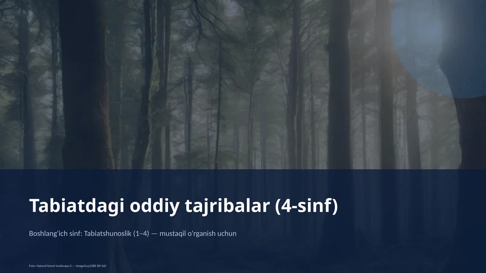 Tabiatdagi oddiy tajribalar (4-sinf)