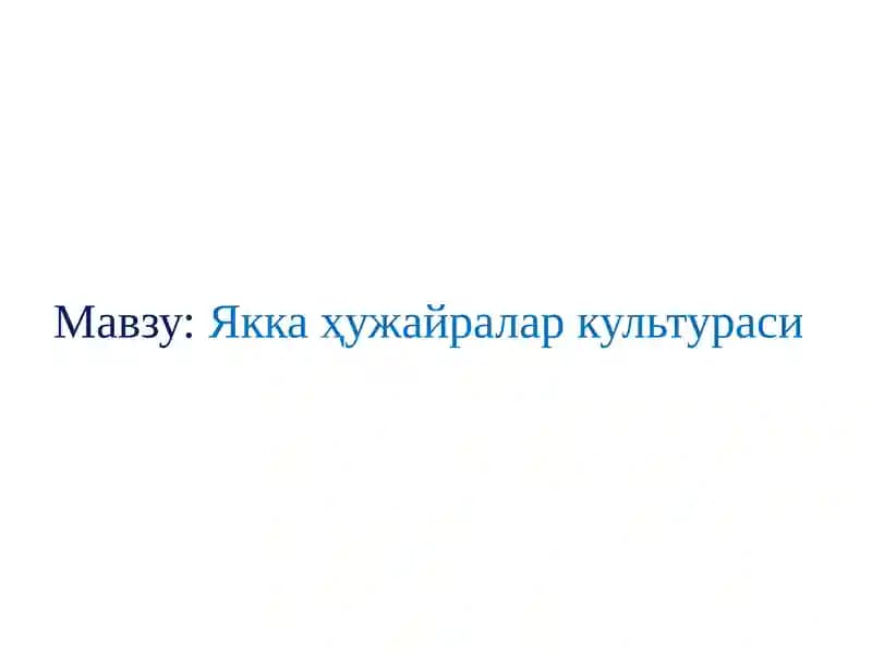Якка ҳужайралар культураси