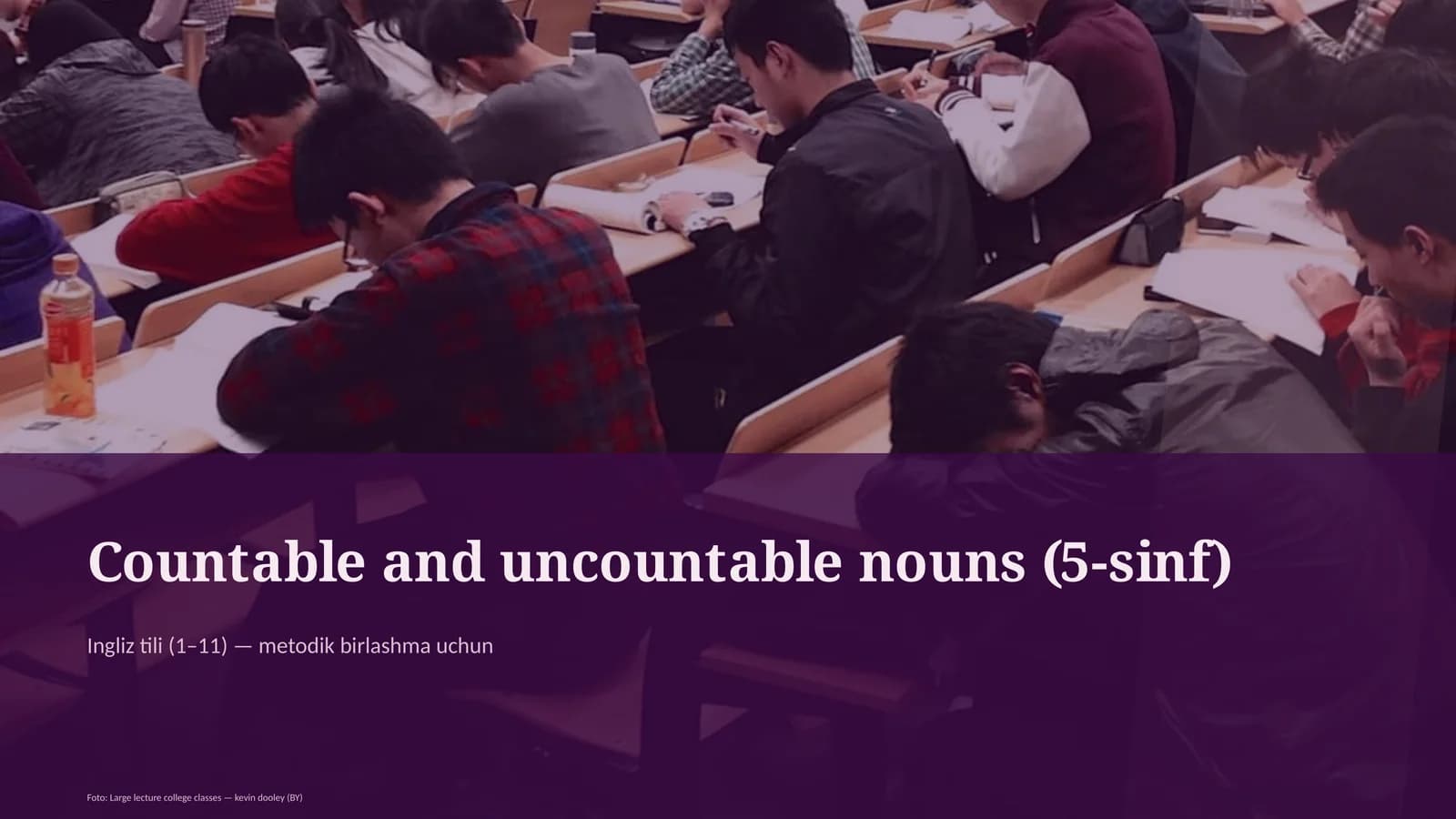 Countable and uncountable nouns (5-sinf)