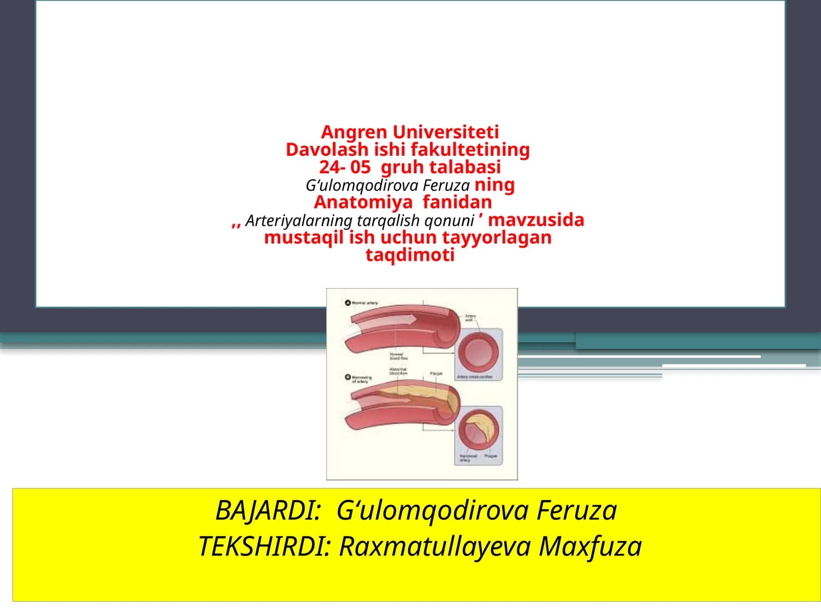 Arteriyalarning tarqalish qonuni