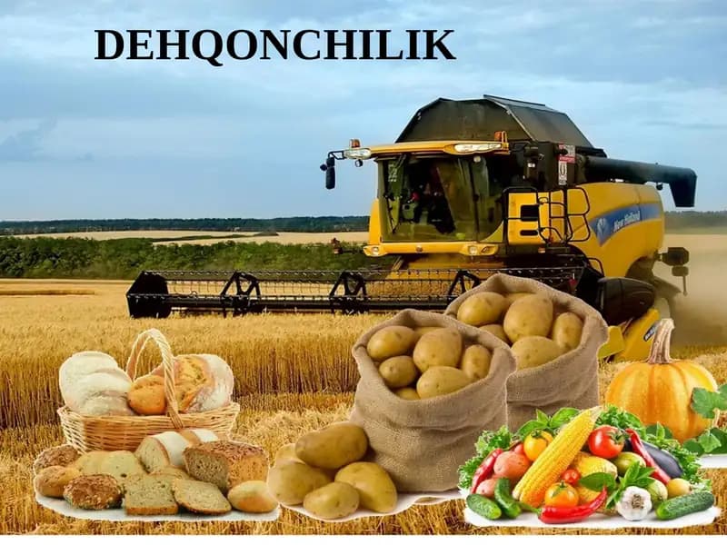 Dehqonchilik