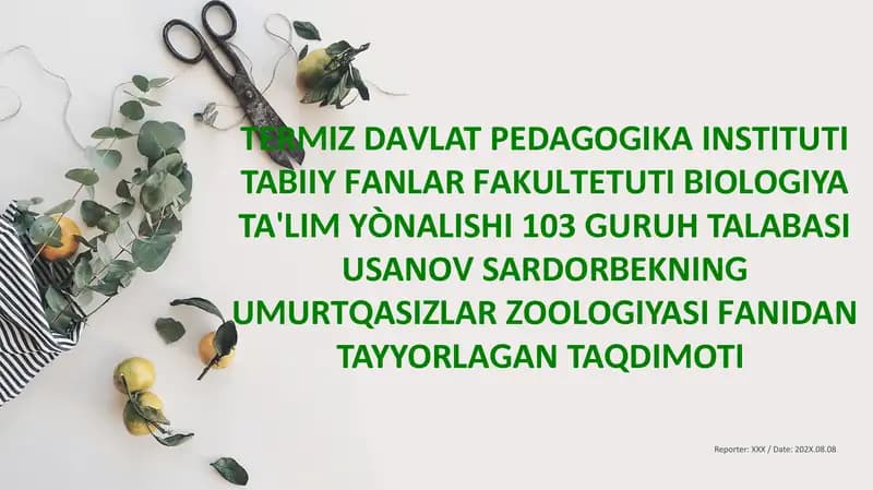 Zuluklar(Hirudinae)sinfi