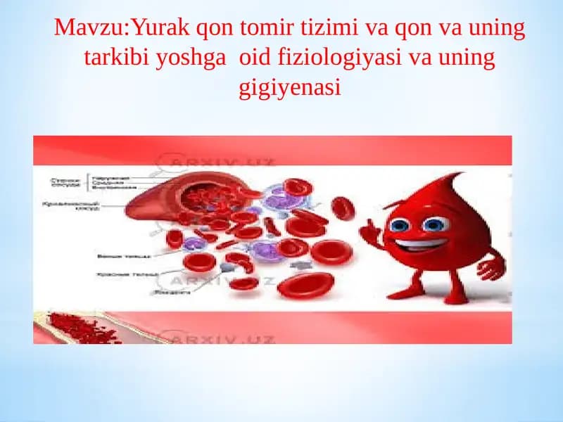 Yurak qon tomiri tuzilishi