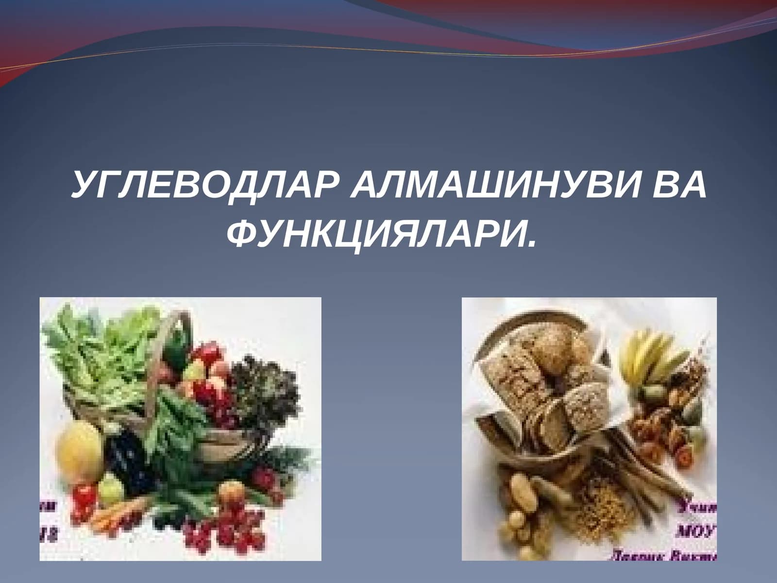 УГЛЕВОДЛАР АЛМАШИНУВИ ВА ФУНКЦИЯЛАРИ
