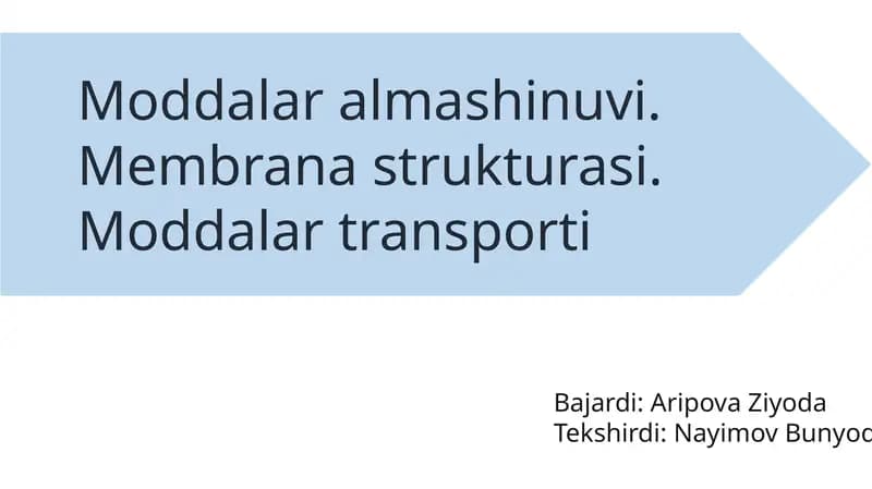Moddalaralmashinuvi