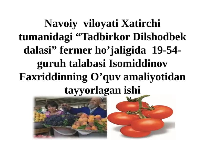 Tadbirkor Dilshodbekdalasi