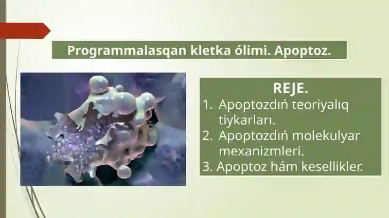 Apoptoz