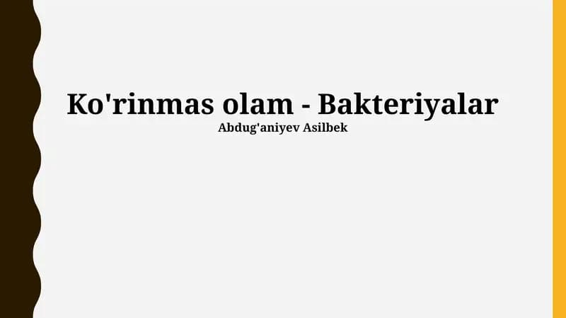 Ko'rinmas olam - Bakteriyalar