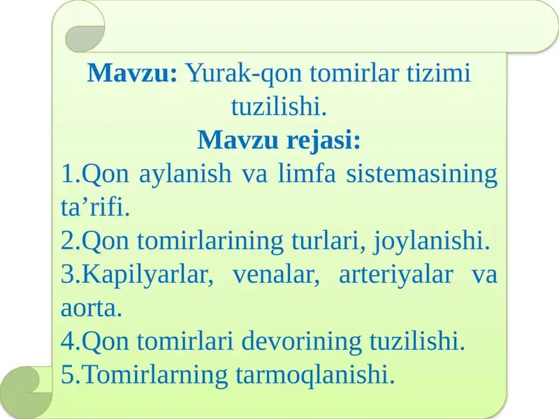 Yurak-qontomirlar tuzilishi