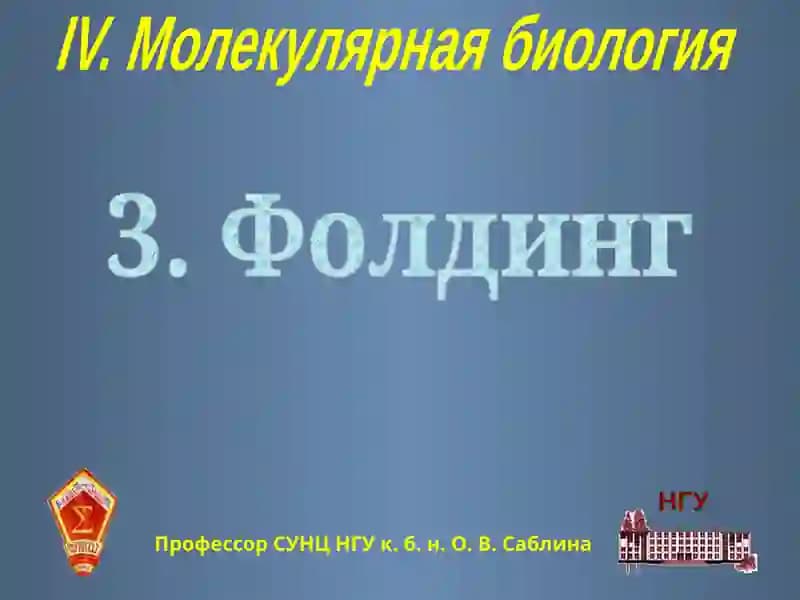 Фолдинг