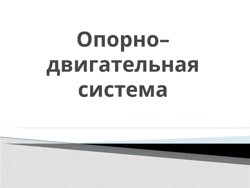 Опорно–двигательная система