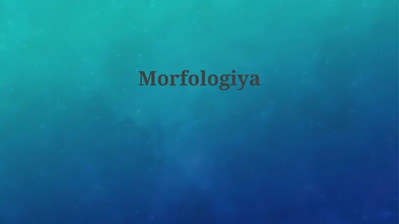 Morfologiya