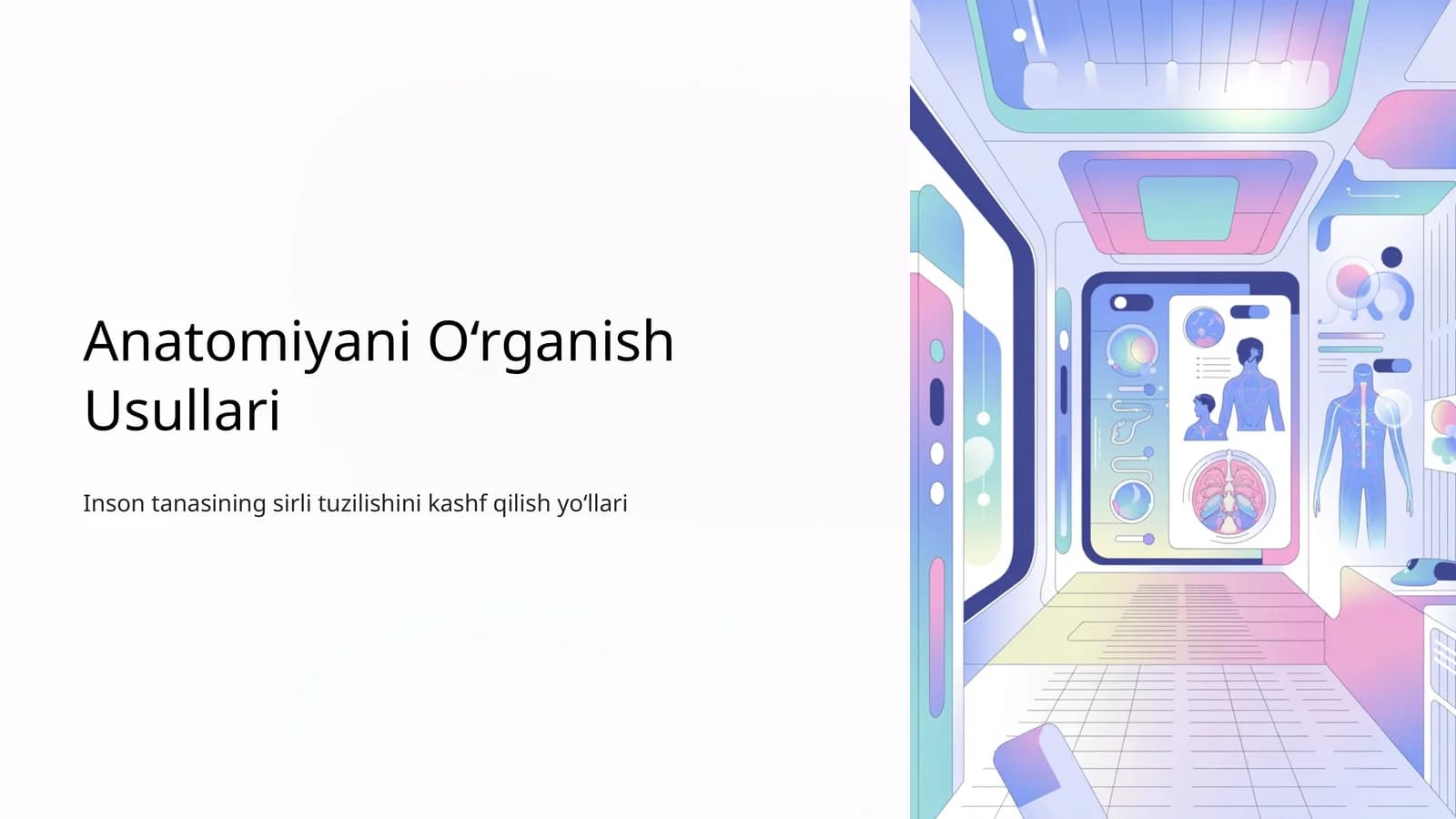 Anatomiyaning asosiy kameralari