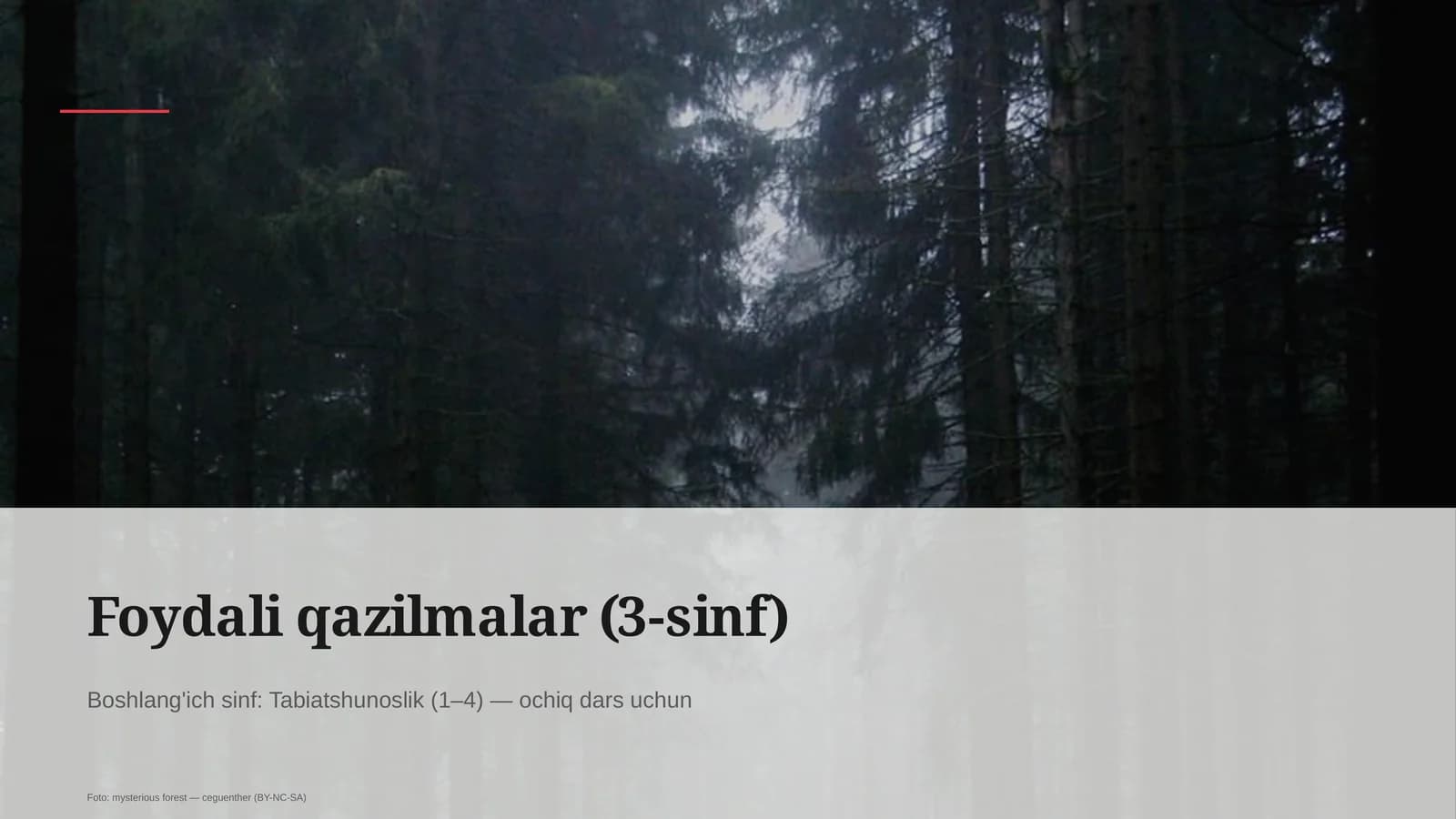 Foydali qazilmalar (3-sinf)