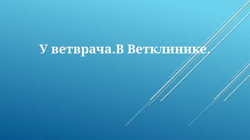 Уветврача.ВВетклинике.