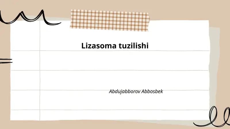 Lizasoma tuzilishi