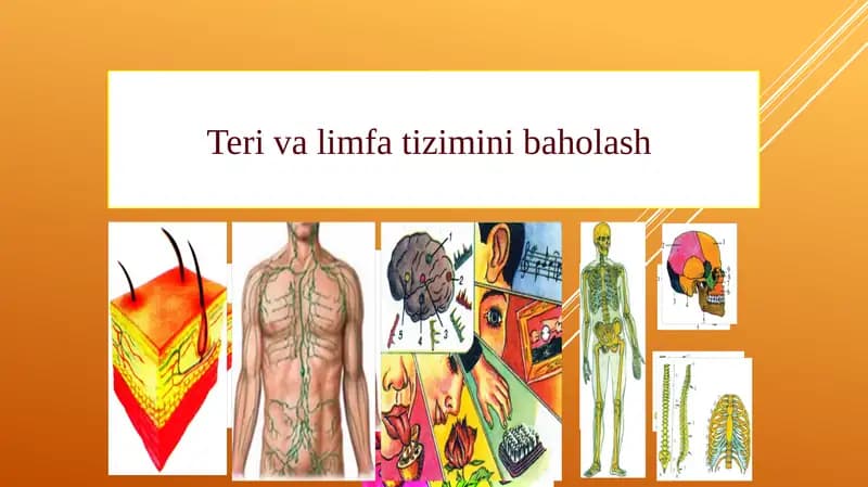 Teri va limfa tizimini baholash
