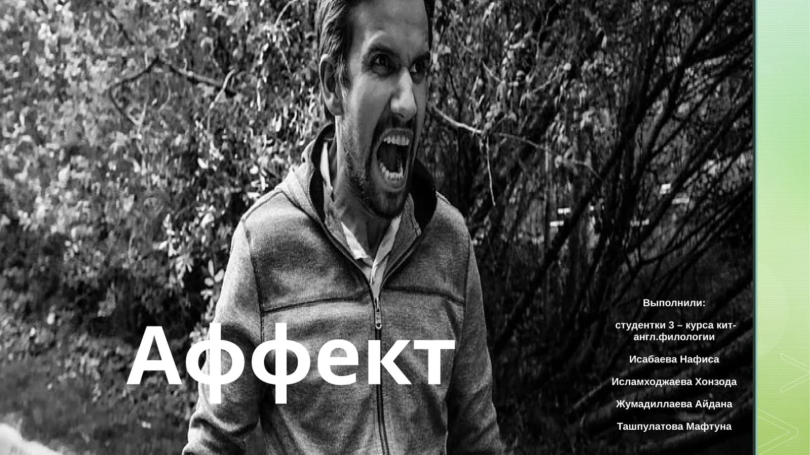 Аффект