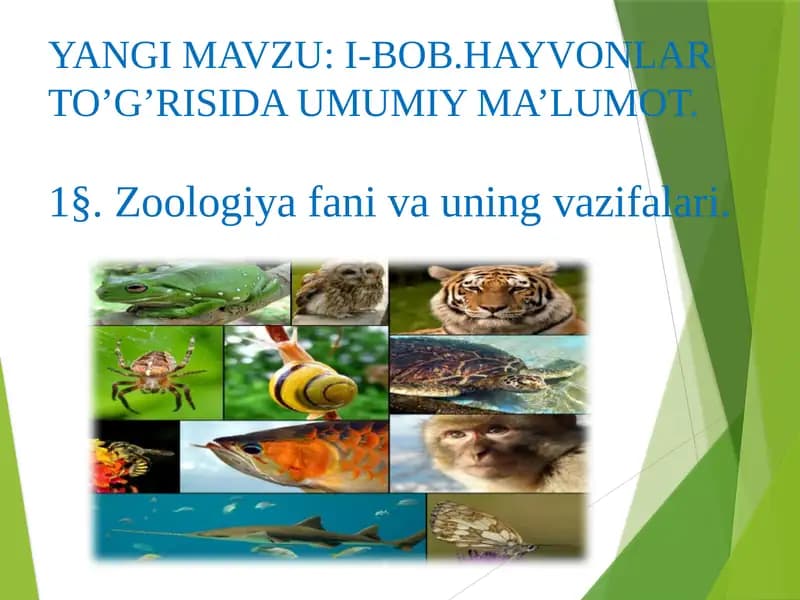 Zoologiya