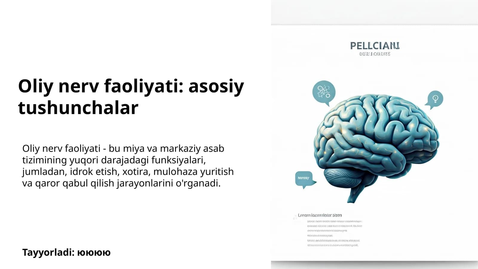 Oliy nerv faoliyati: asosiy tushunchalar