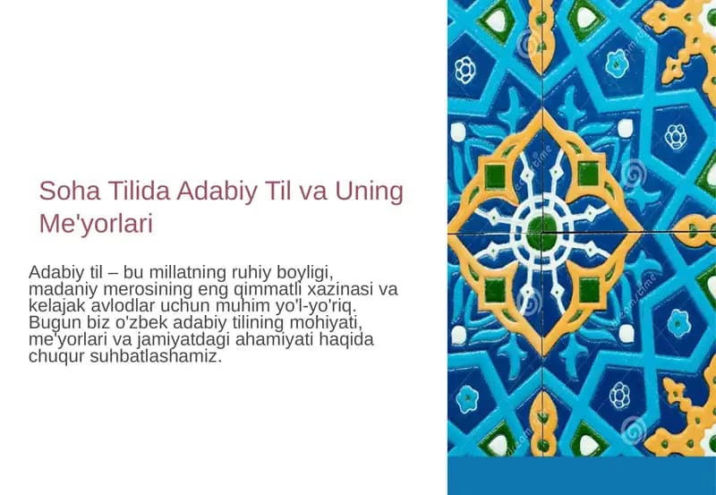 Soha Tilida Adabiy Til va Uning Me'yorlari