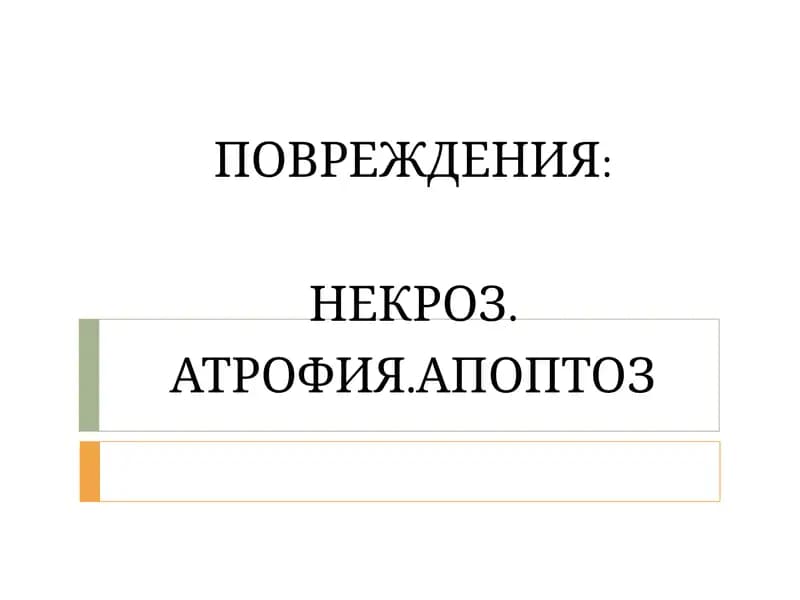 Некроз, Атрофия, Апоптоз