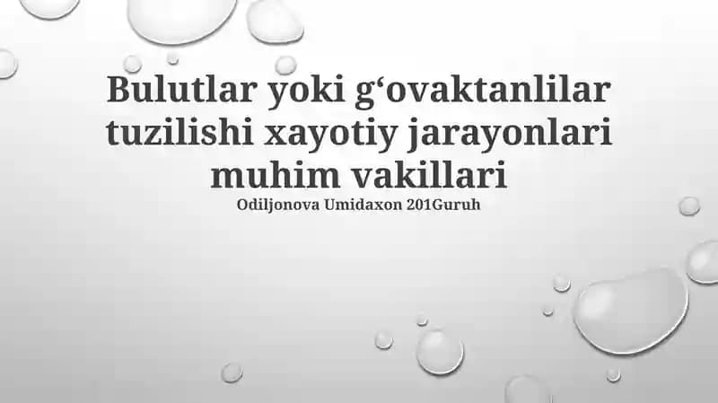 Bulutlar va gözenekli tuzilmalar