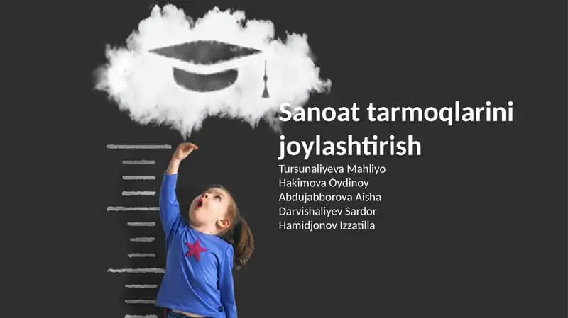 Sanoat tarmoqlarini joylashtirish
