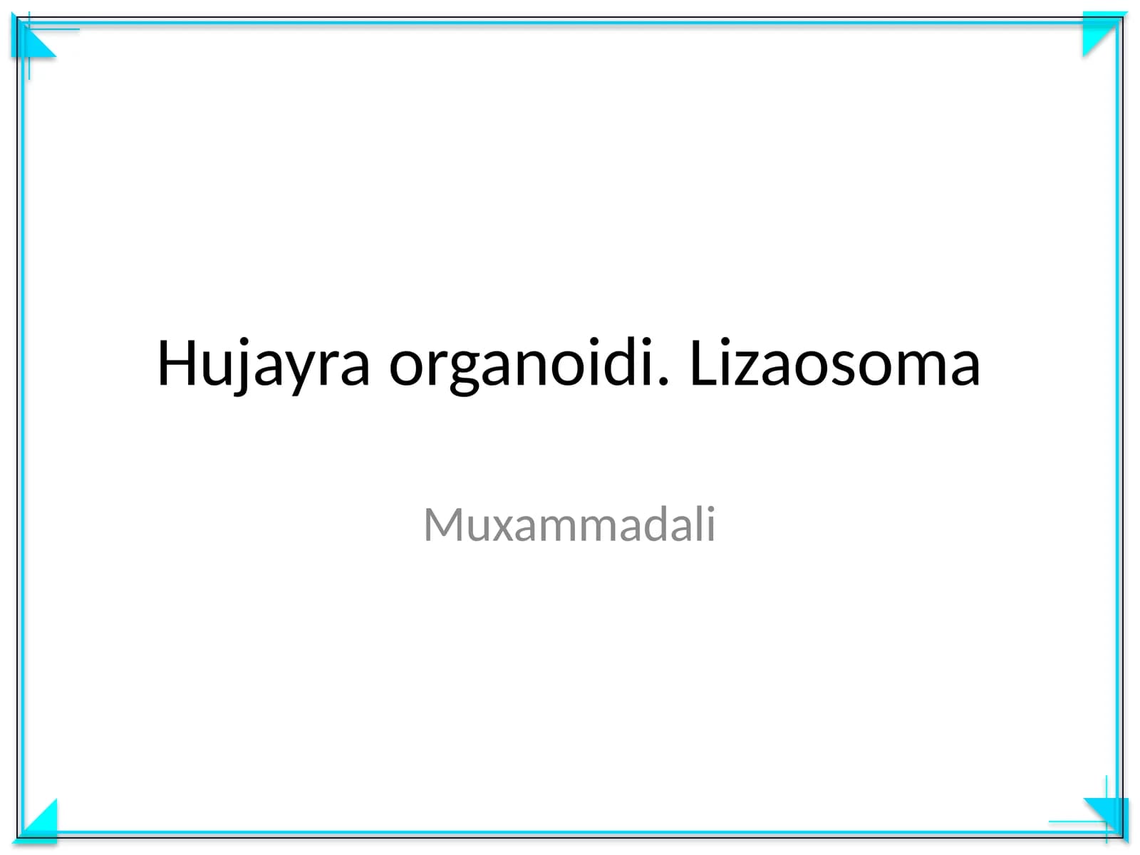Hujayra organoidi. Lizaosoma