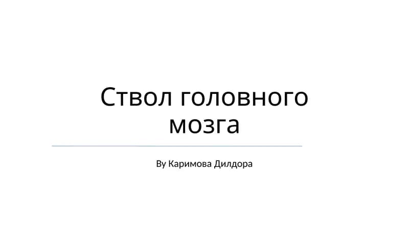 Ствол головного мозга