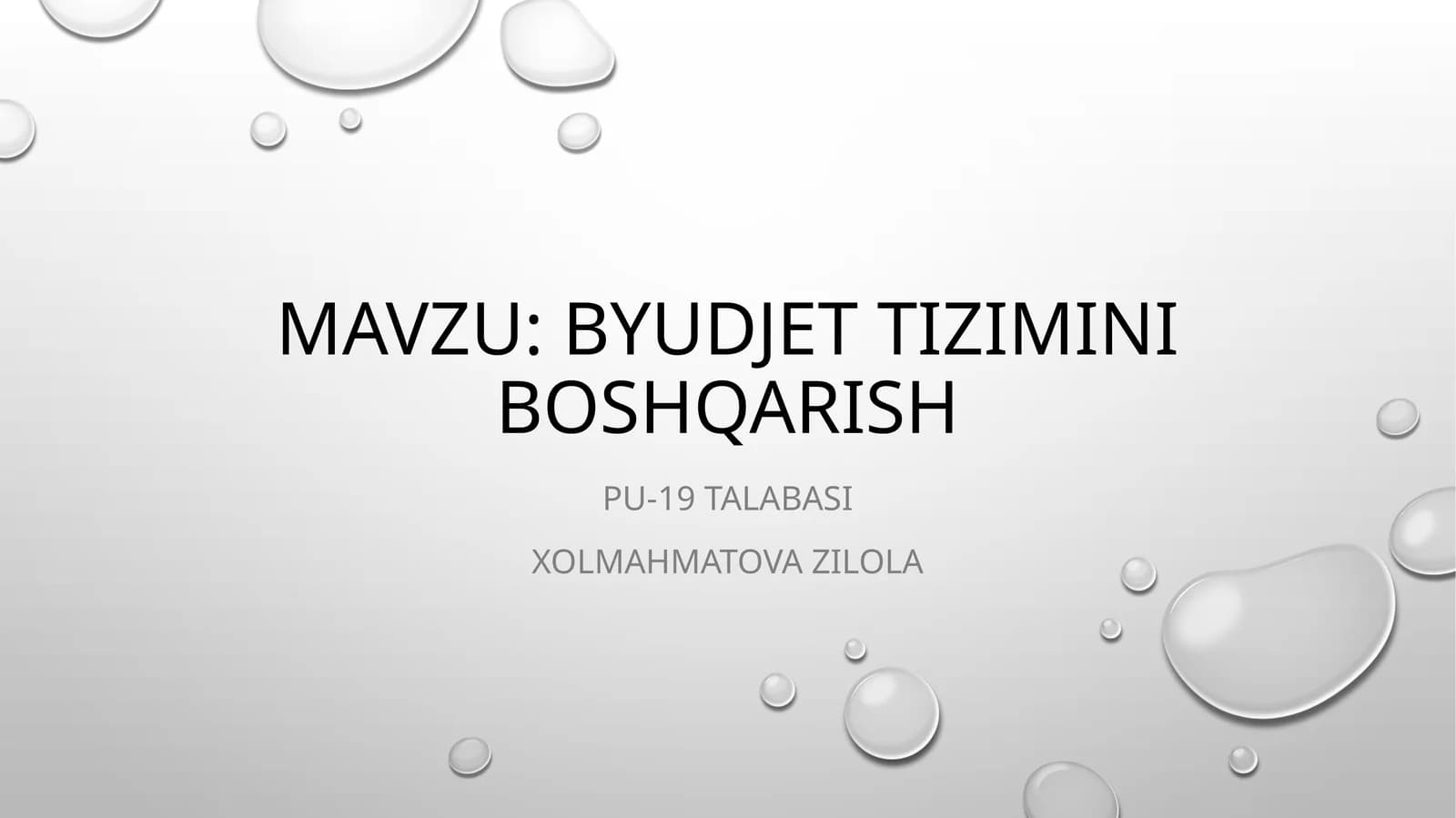 Byudjet tizimini boshqarish